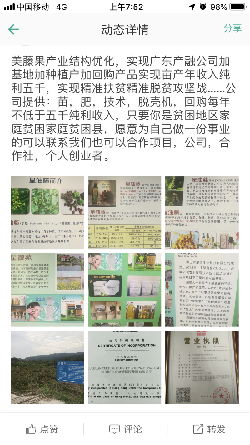 美藤果，印加果，星油藤，星果，OMG，