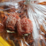 柿饼