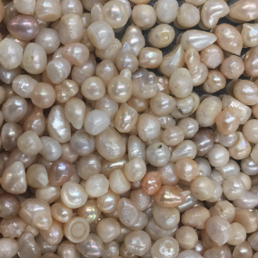 珍珠保证正品珍珠量大从优
