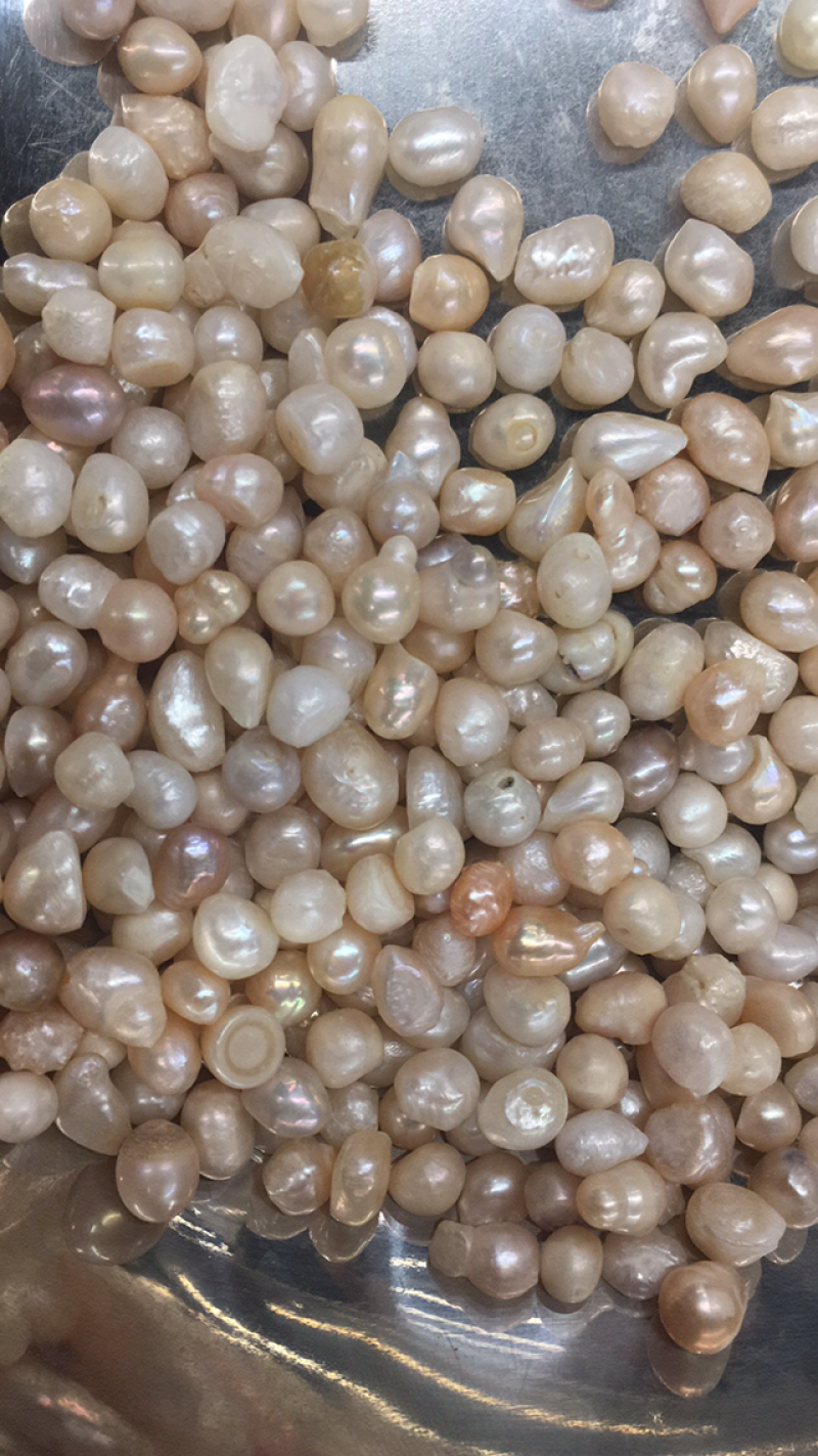 珍珠保证正品珍珠量大从优