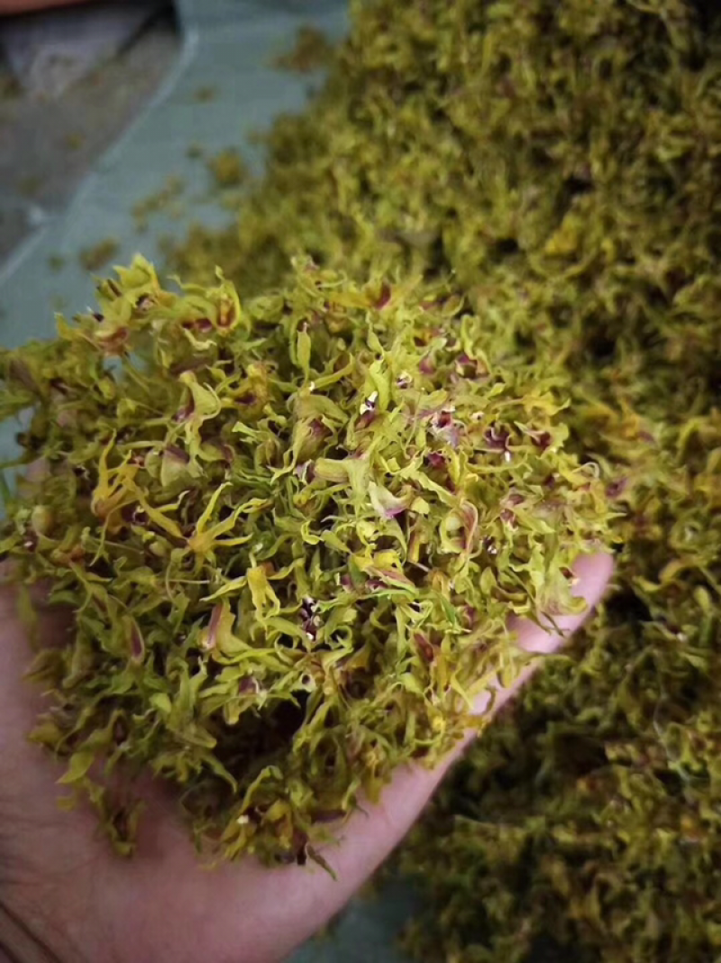 铁皮石斛花新货上市量大从优
