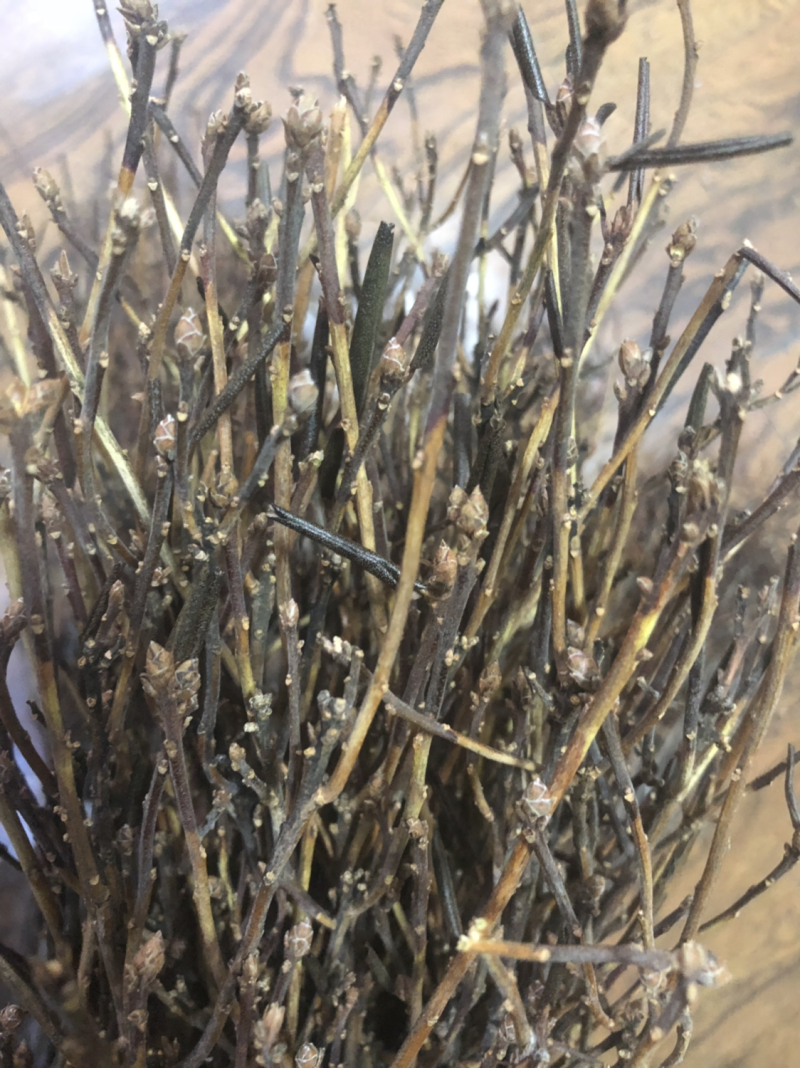 限时秒杀兴安杜鹃干枝遇水7-15天开花