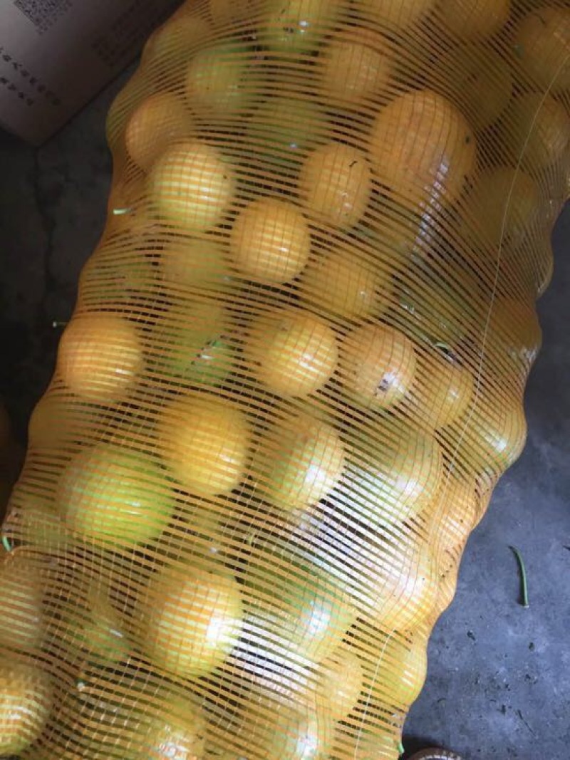 百香果