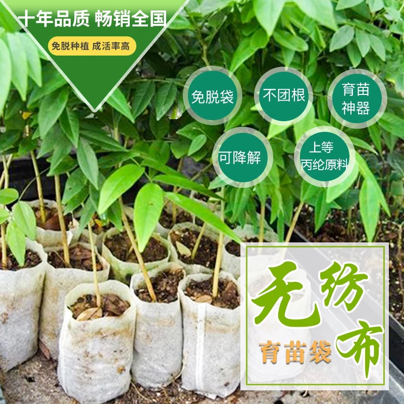 折边无纺布育苗袋16×18透气保湿营养袋
