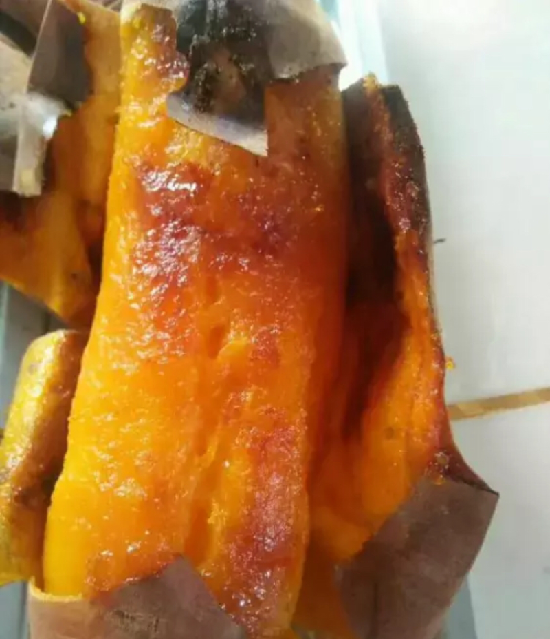 优质红薯西瓜红，康王红，龙薯九