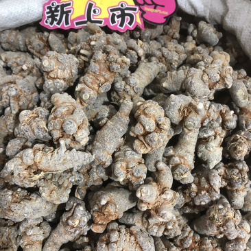 三七三七个田七田七根包邮