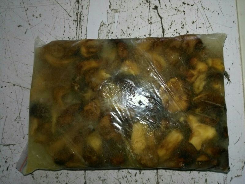 野生菌一级