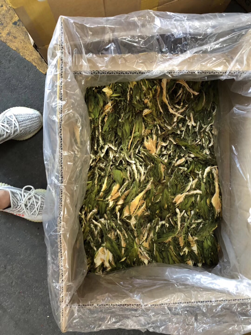 广东霸王花产地直销，欢迎订购，颜色青，干度足。