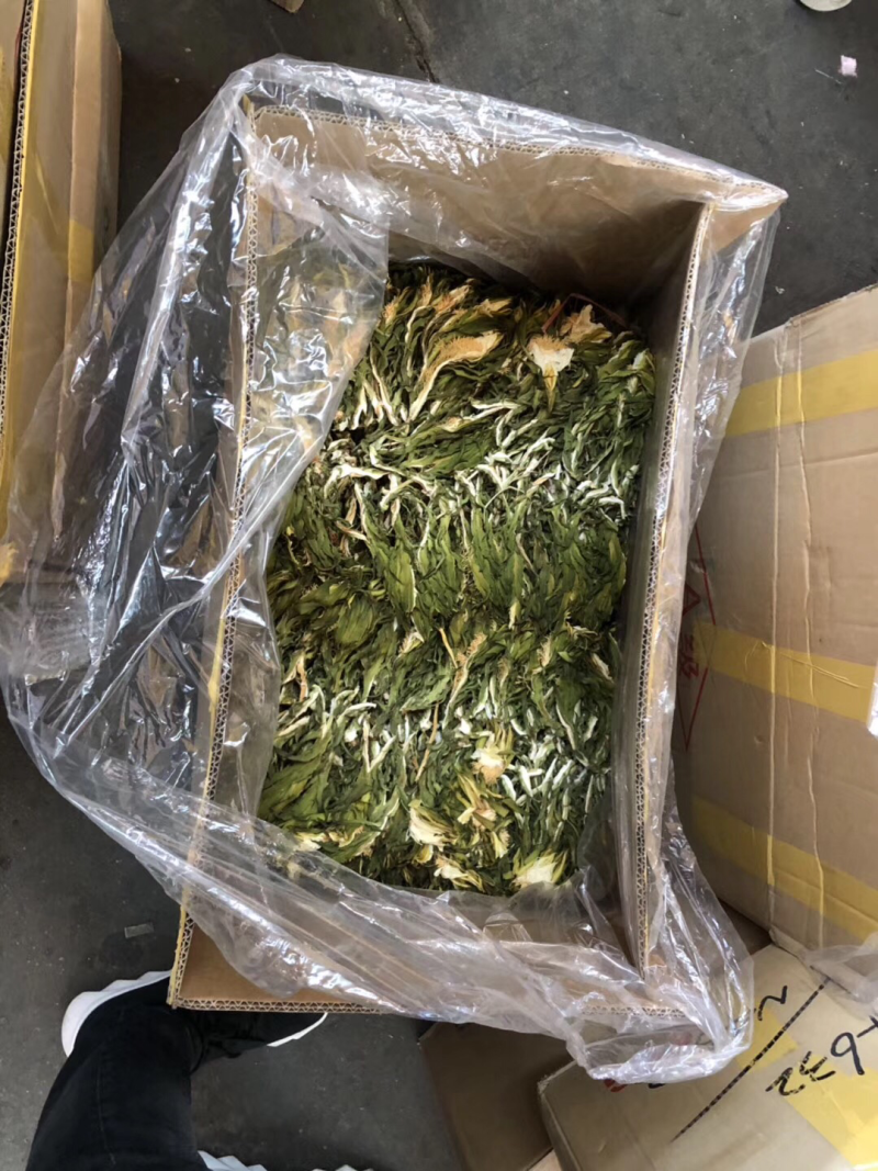 广东霸王花产地直销，欢迎订购，颜色青，干度足。
