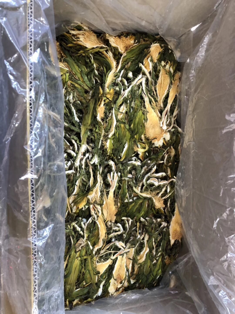 广东霸王花产地直销，欢迎订购，颜色青，干度足。