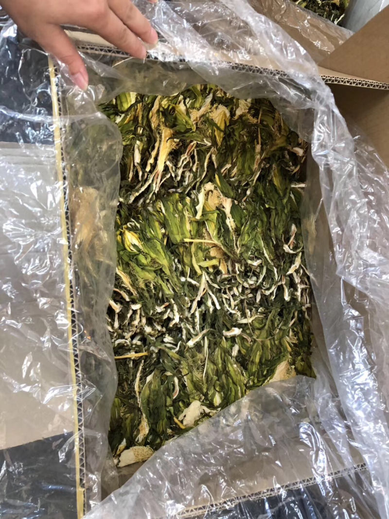 广东霸王花产地直销，欢迎订购，颜色青，干度足。
