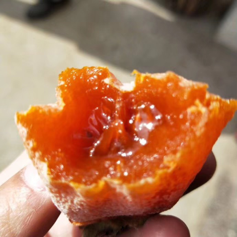富平吊柿饼