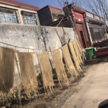 粉条