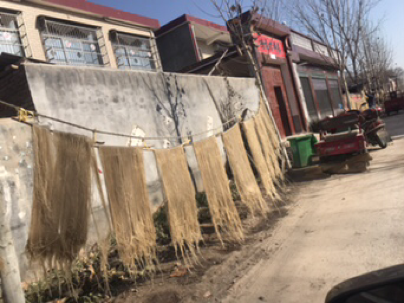 粉条