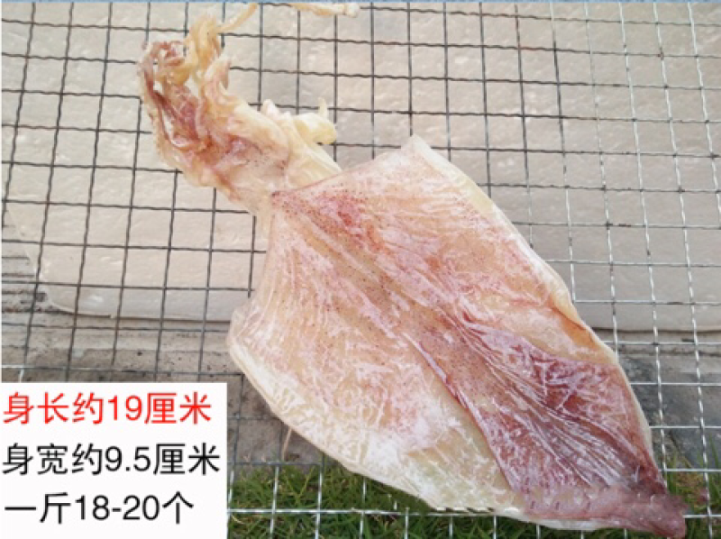 烧烤鱿鱼干北海鱿鱼干零售批发