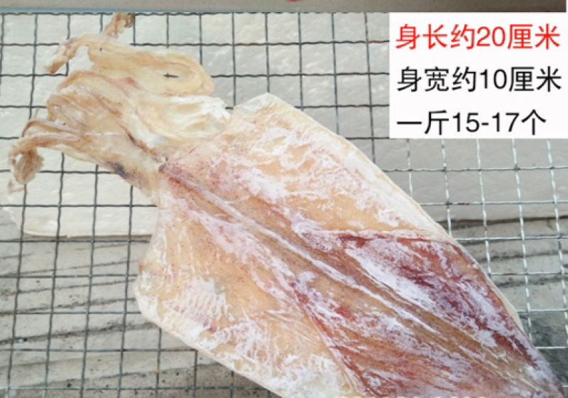 烧烤鱿鱼干北海鱿鱼干零售批发