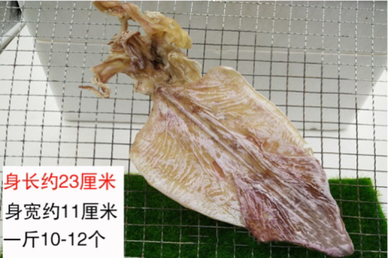 烧烤鱿鱼干北海鱿鱼干零售批发