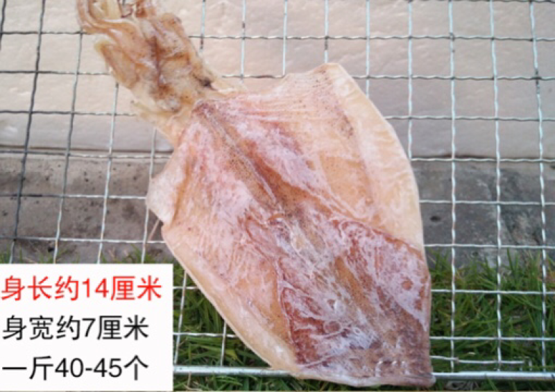 烧烤鱿鱼干北海鱿鱼干零售批发