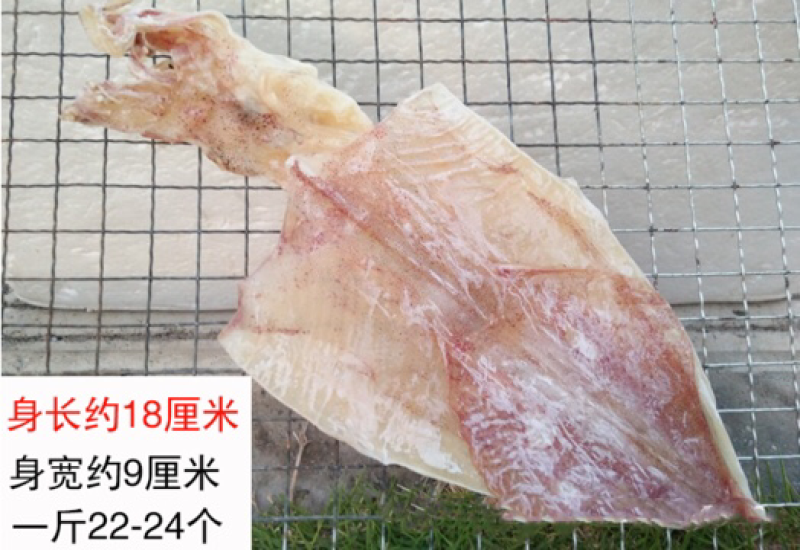 烧烤鱿鱼干北海鱿鱼干零售批发