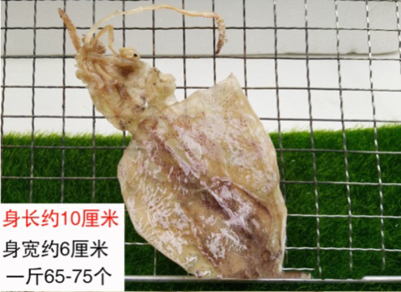 烧烤鱿鱼干北海鱿鱼干零售批发