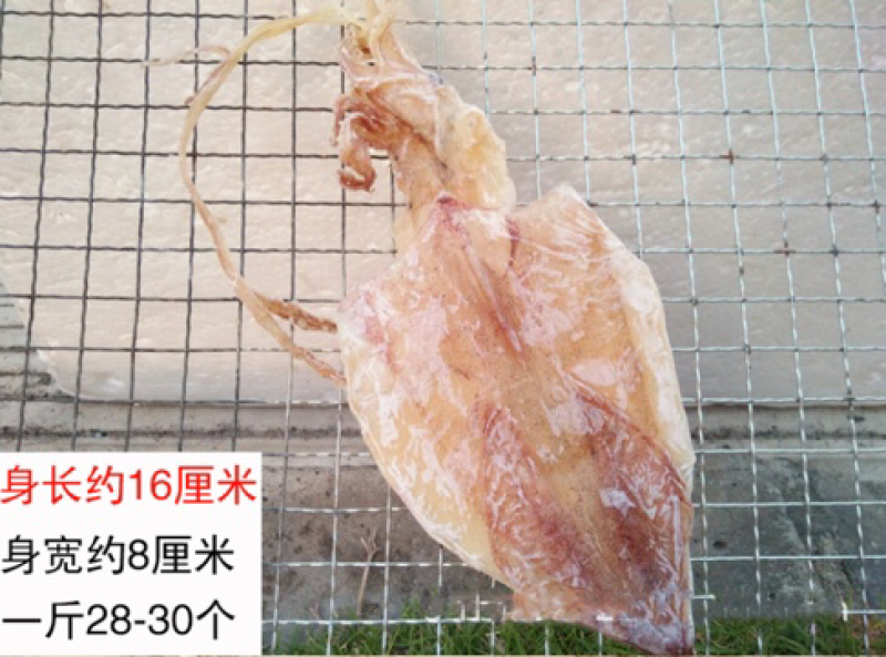 烧烤鱿鱼干北海鱿鱼干零售批发
