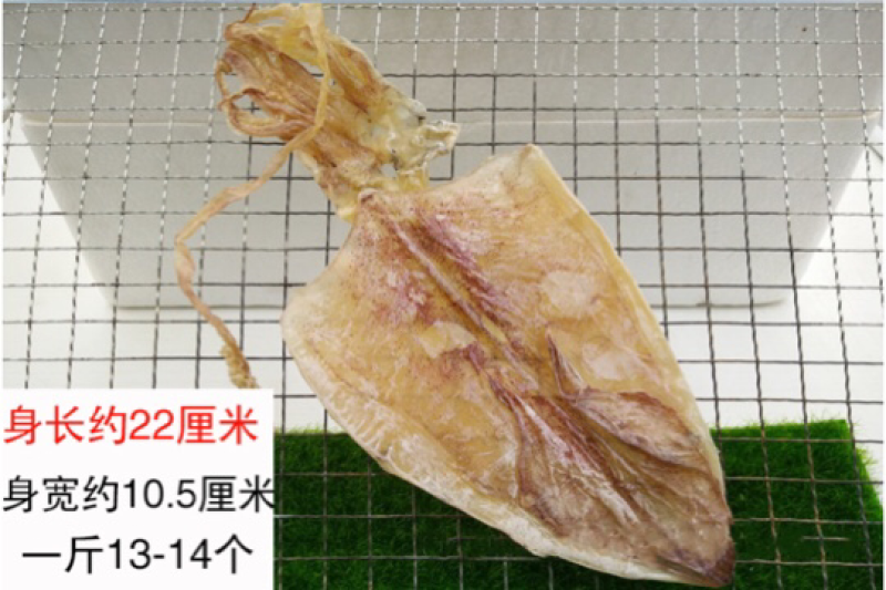 烧烤鱿鱼干北海鱿鱼干零售批发