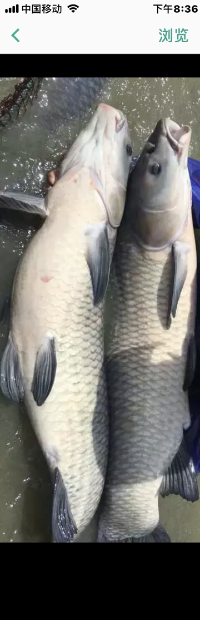 质量一流