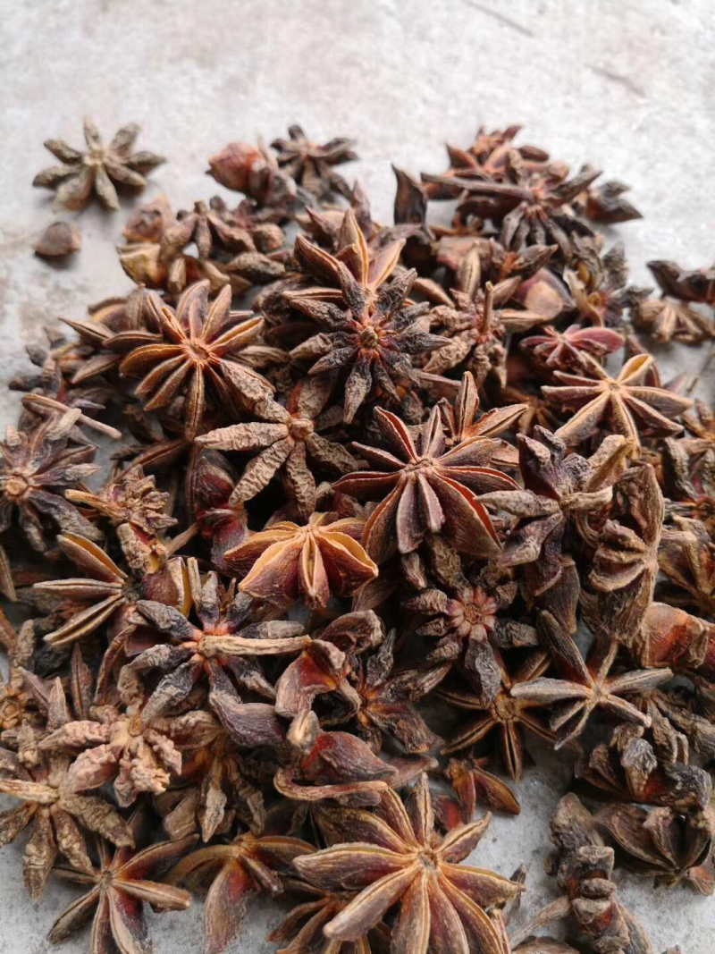 广西八角干枝八角秋八角500克包邮