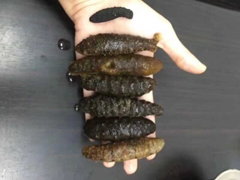 海参
