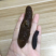 海参