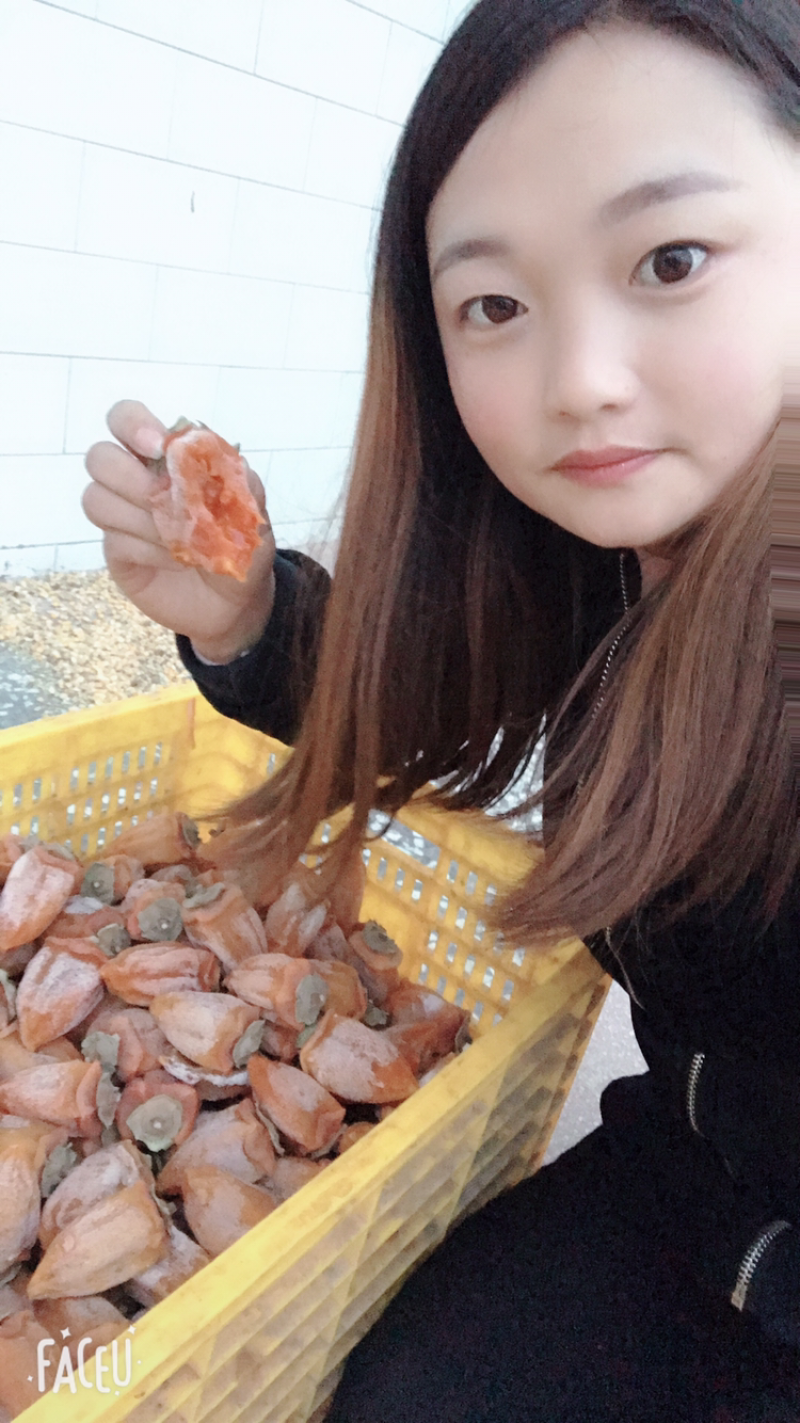 富平特产柿饼