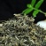 普洱绿茶散茶