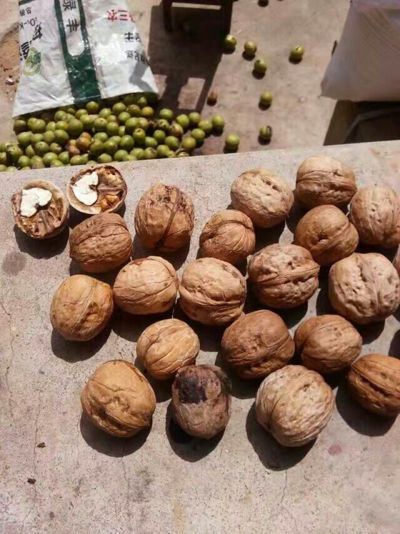薄皮核桃30mm以上去皮干