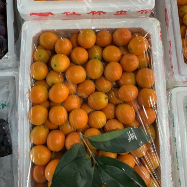 广西桂林