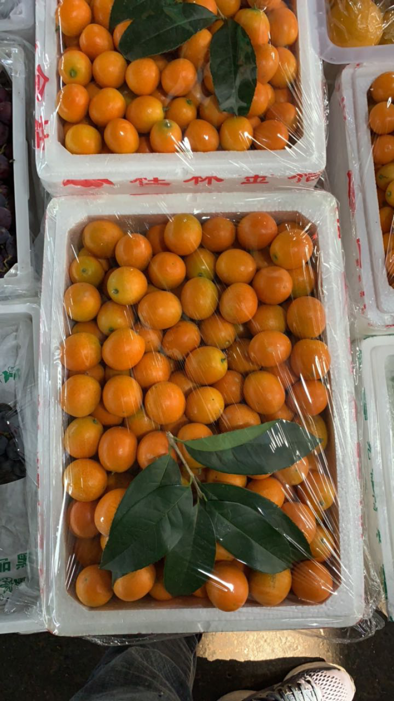 广西桂林