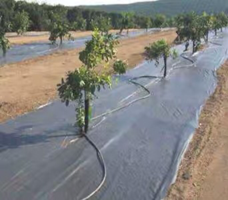 除草布防草布厂家直销草坪护坡绿化工程用