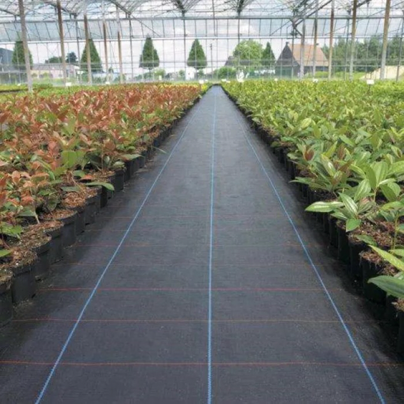 除草布防草布厂家直销草坪护坡绿化工程用