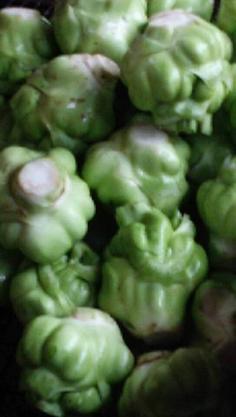 榨菜