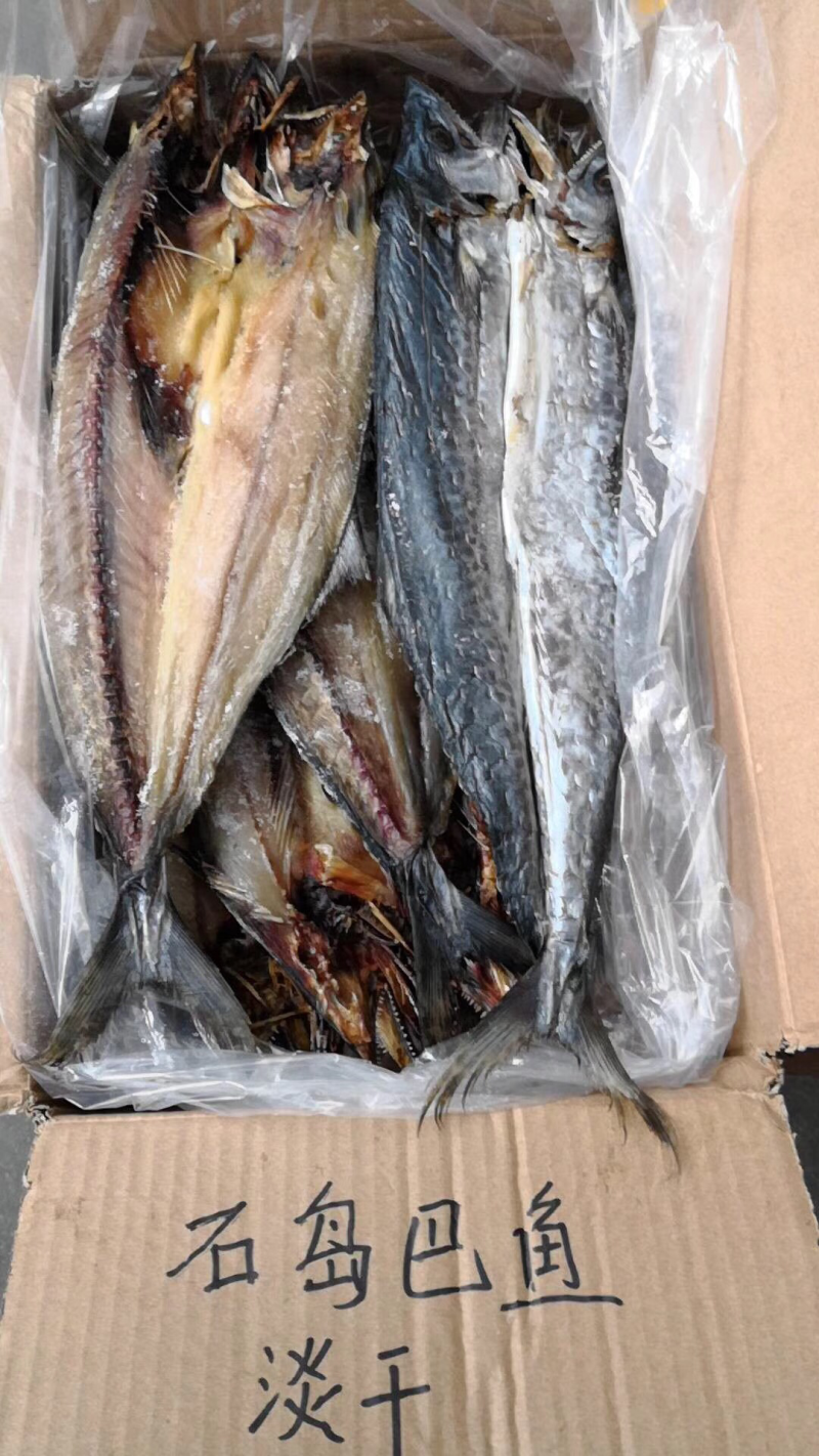石岛鲅鱼淡干船员鲅鱼