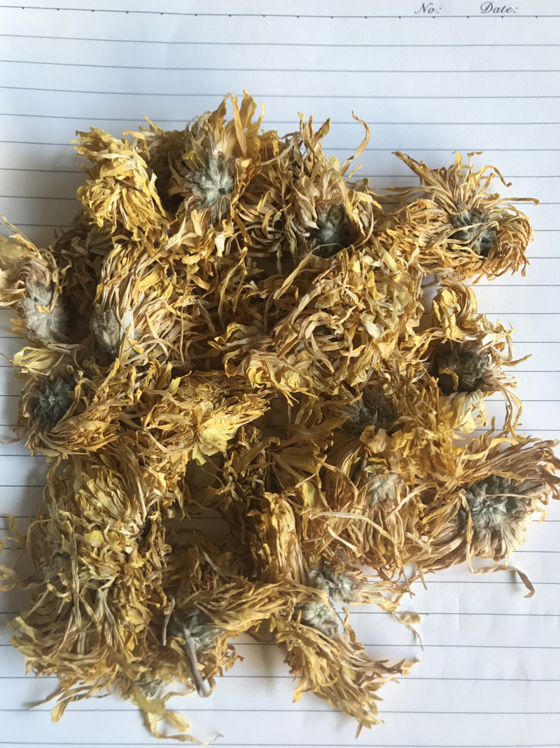 贡菊花，金丝菊