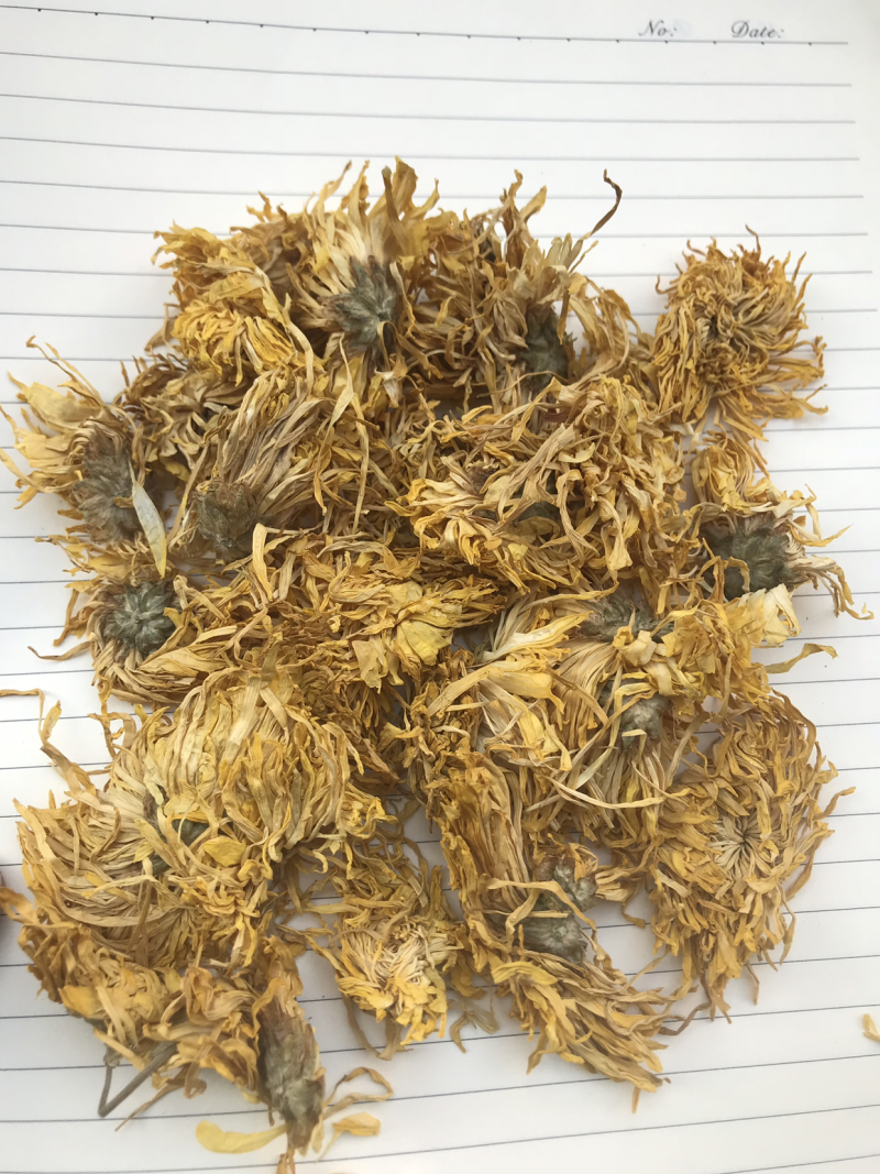 贡菊花，金丝菊