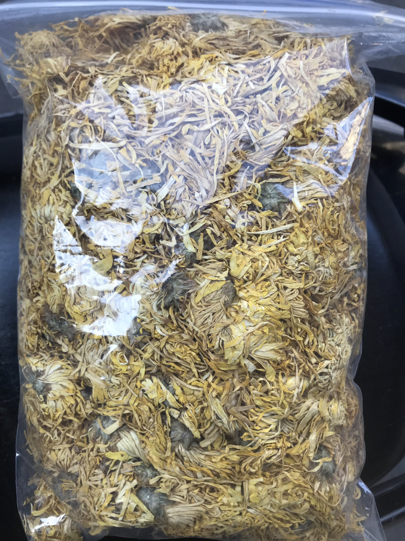 贡菊花，金丝菊
