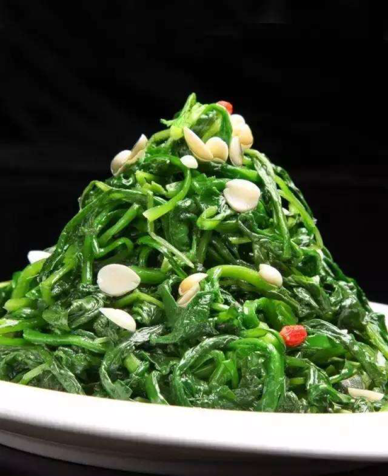 马齿菜