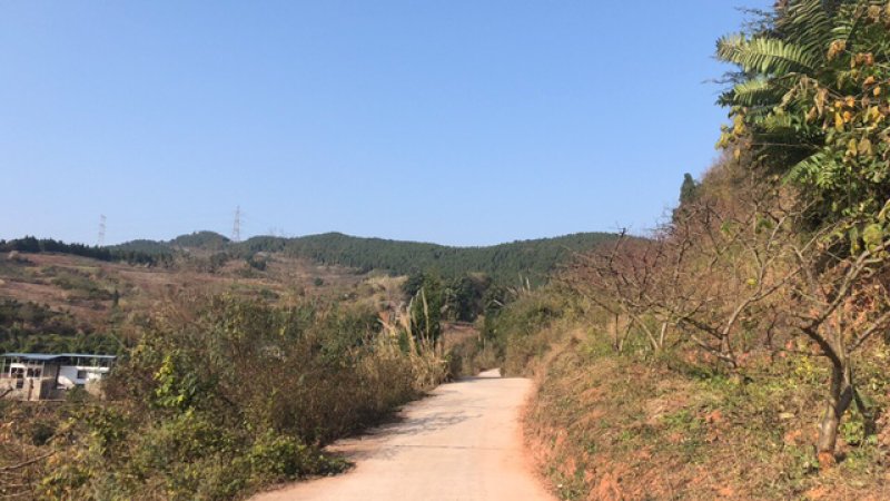 山地出租：80亩