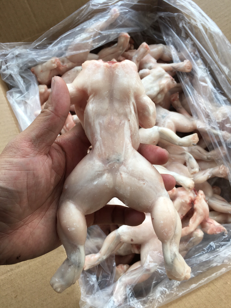 自营加工干冰，包冰牛蛙。