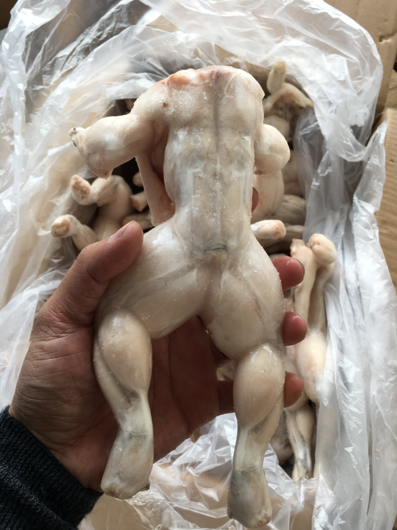 自营加工干冰，包冰牛蛙。