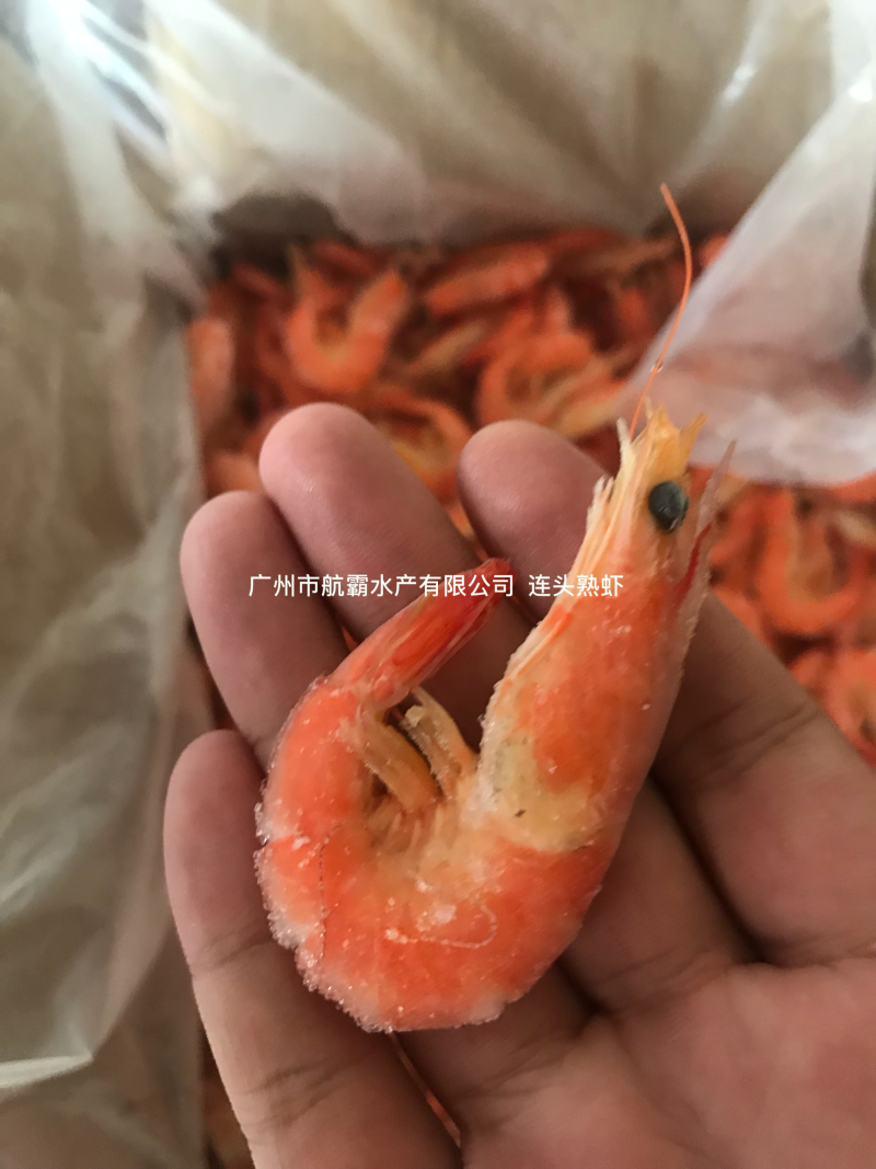 胶纸塘红虾
