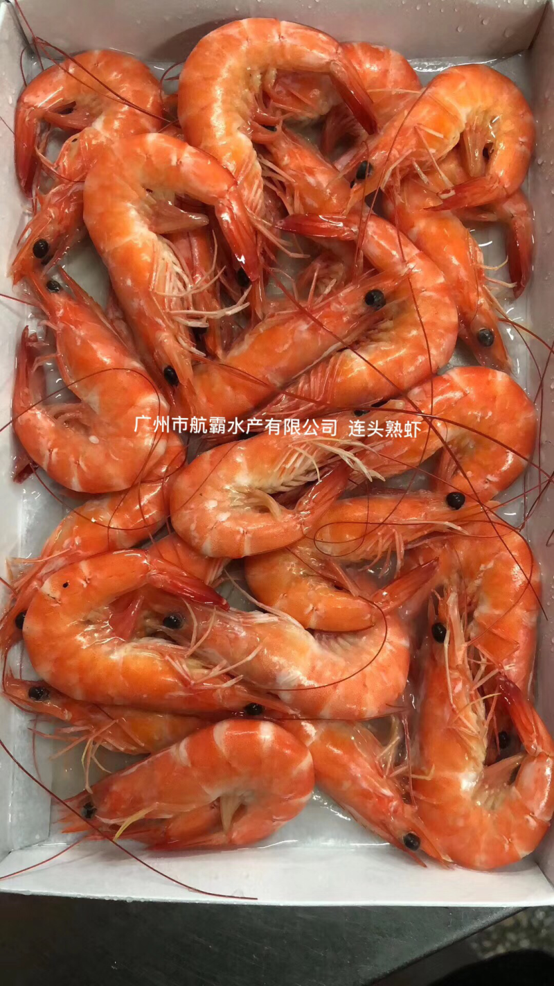 胶纸塘红虾