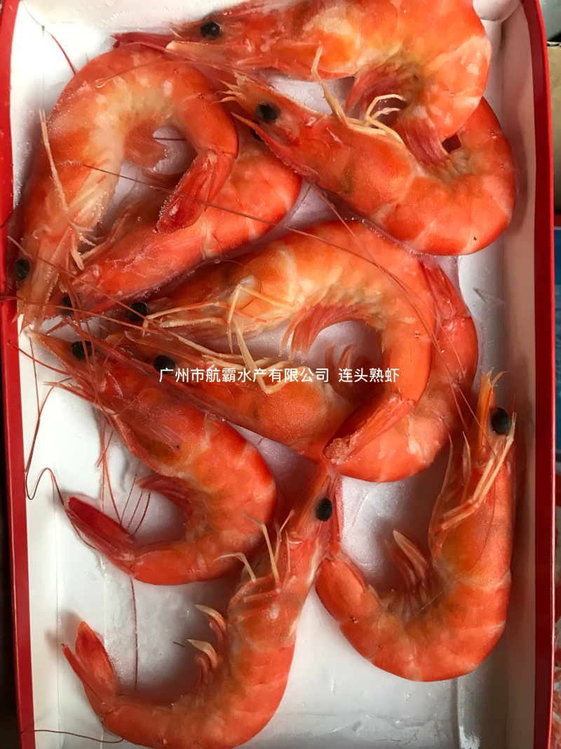 胶纸塘红虾