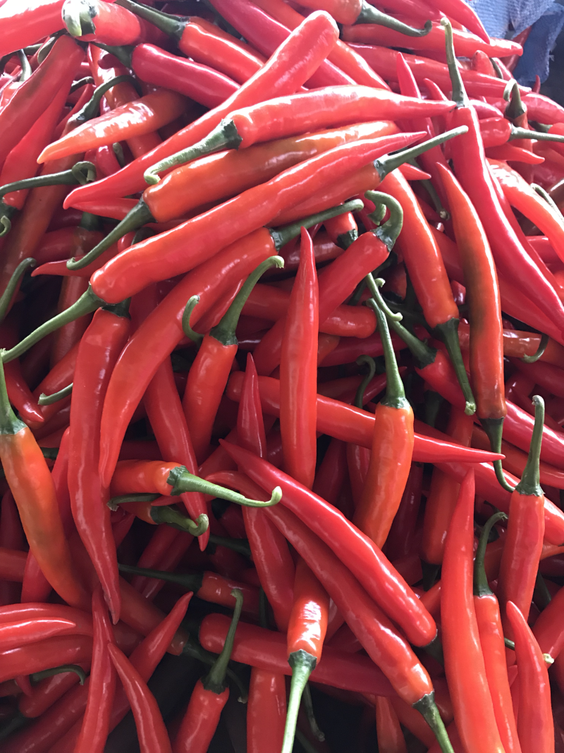 辣椒🌶️大量上市！